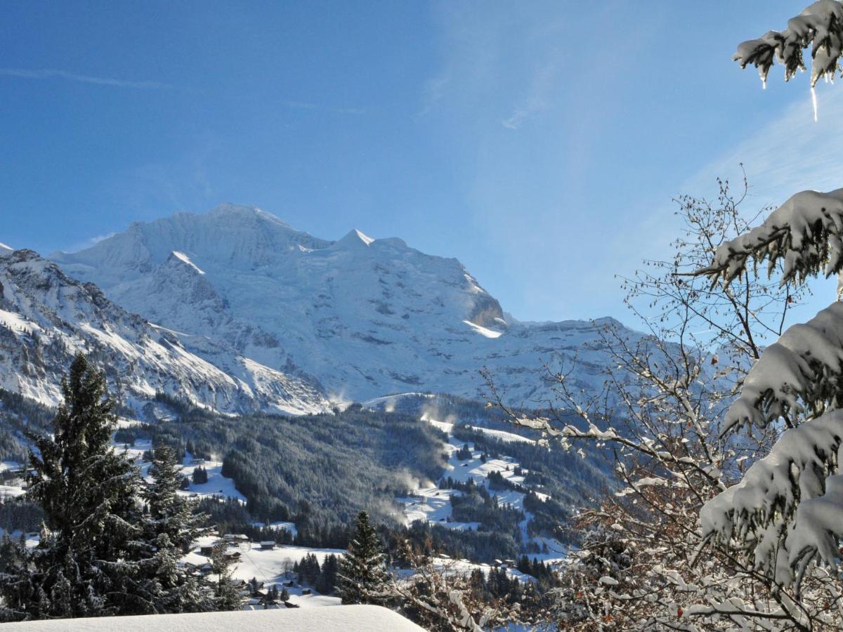Apartment Rose Apt- Y By Interhome Wengen Exterior foto